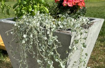 IMG-20240721-WA0017